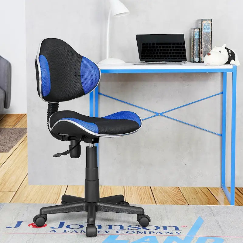 Ergonomic Mesh Office Chair with Padded Seat and Swivel Base